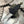 Acorn Neck Knife Topographic G10