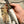 Outlander A2 Carbon Steel