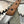 Thorn Puuko neck knife Fight or Die