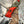 Boreal G10 Multicam