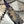 Thorn Puuko neck knife Fight or Die