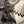 Acorn Neck Knife Topographic G10
