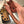 Acorn Neck Knife G10 Multi-Cam