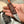 Acorn Neck Knife Micarta “Into the forest I go”
