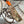 Muninn Neck Knife Multicam