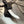 Wolf Cub 2.75”