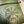 Topographic Field Note Journals Medium