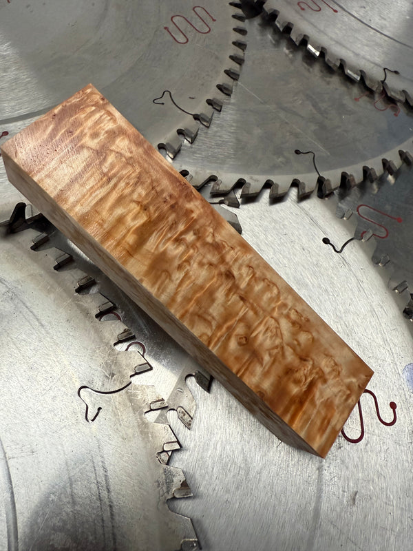 Masur Birch stabilised (37)