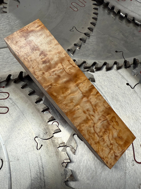 Masur Birch stabilised (37)