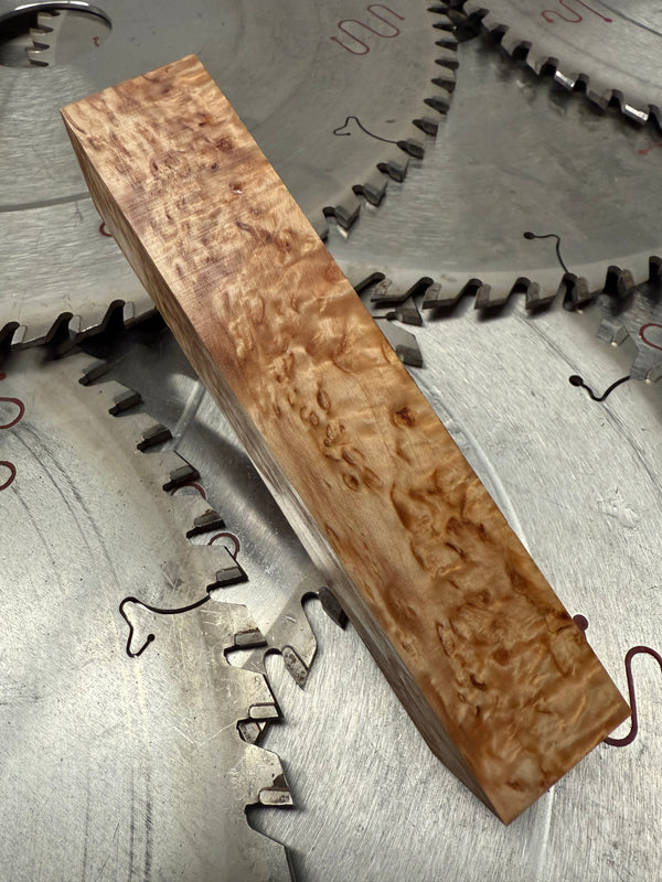 Masur Birch stabilised (37)