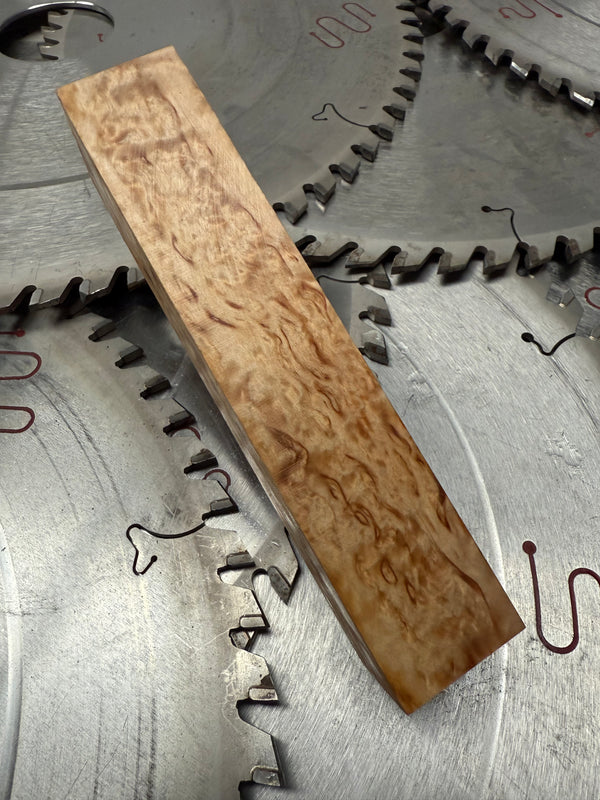 Masur Birch stabilised (37)