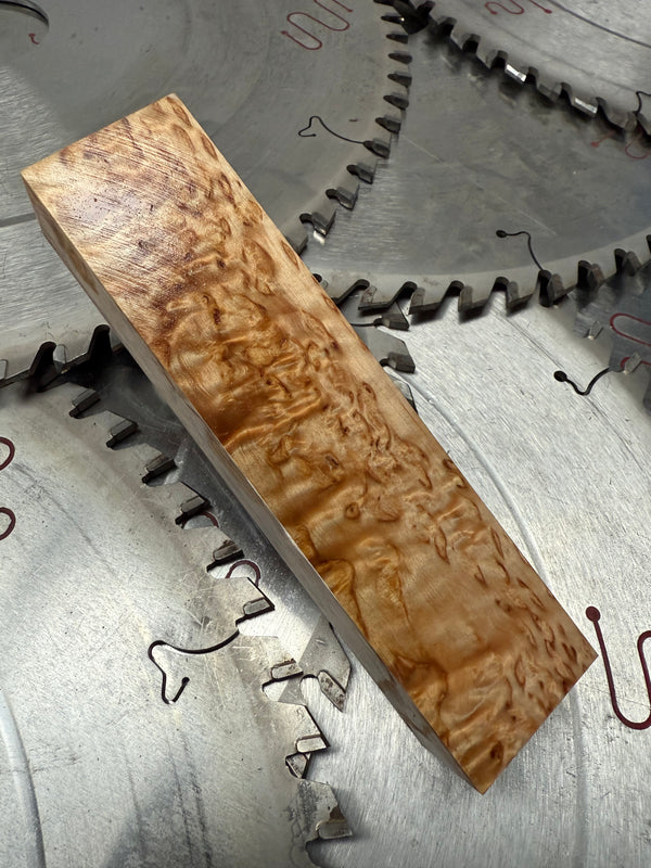 Masur Birch stabilised (36)