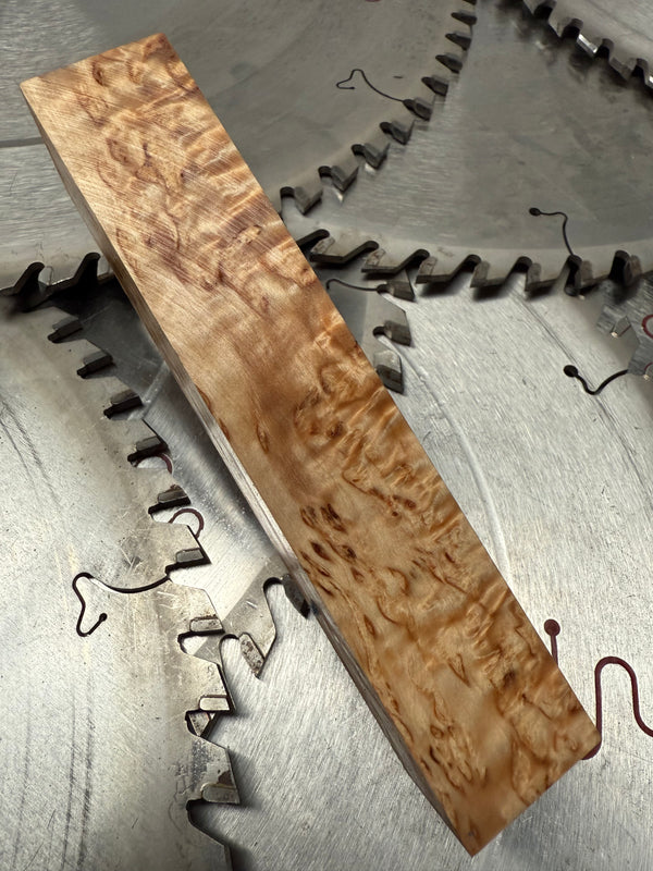 Masur Birch stabilised (36)