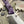 Field Skalpel Purple G10