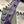 Field Skalpel Purple G10