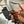 Wolf Cub All Weather G10