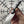 Field Skalpel Shredded GITD Carbon